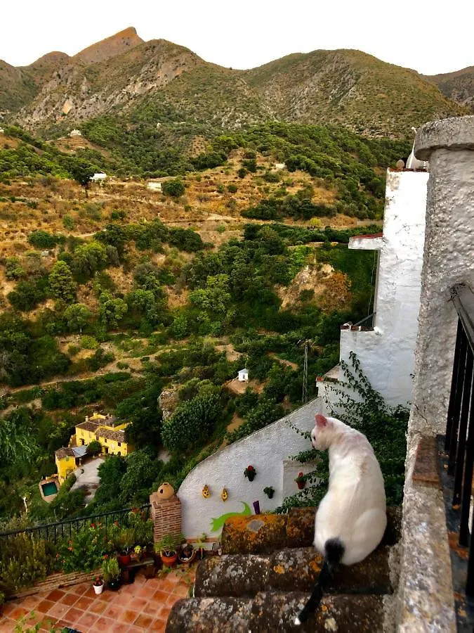 Accommodatie bij particulieren Casa Verde Appartement Istán