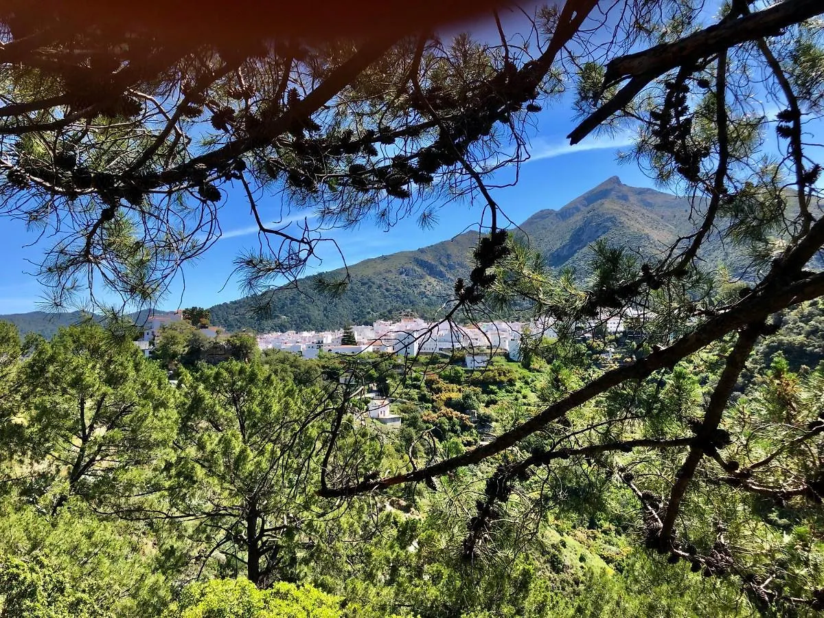 Casa Verde Appartement Istán 0*,  Spanje