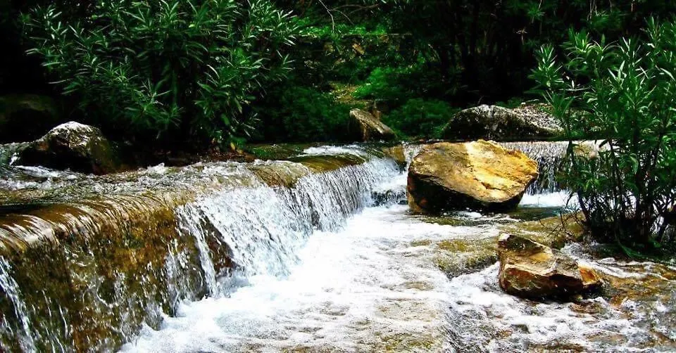 Accommodatie bij particulieren Casa Verde Appartement Istán Spanje